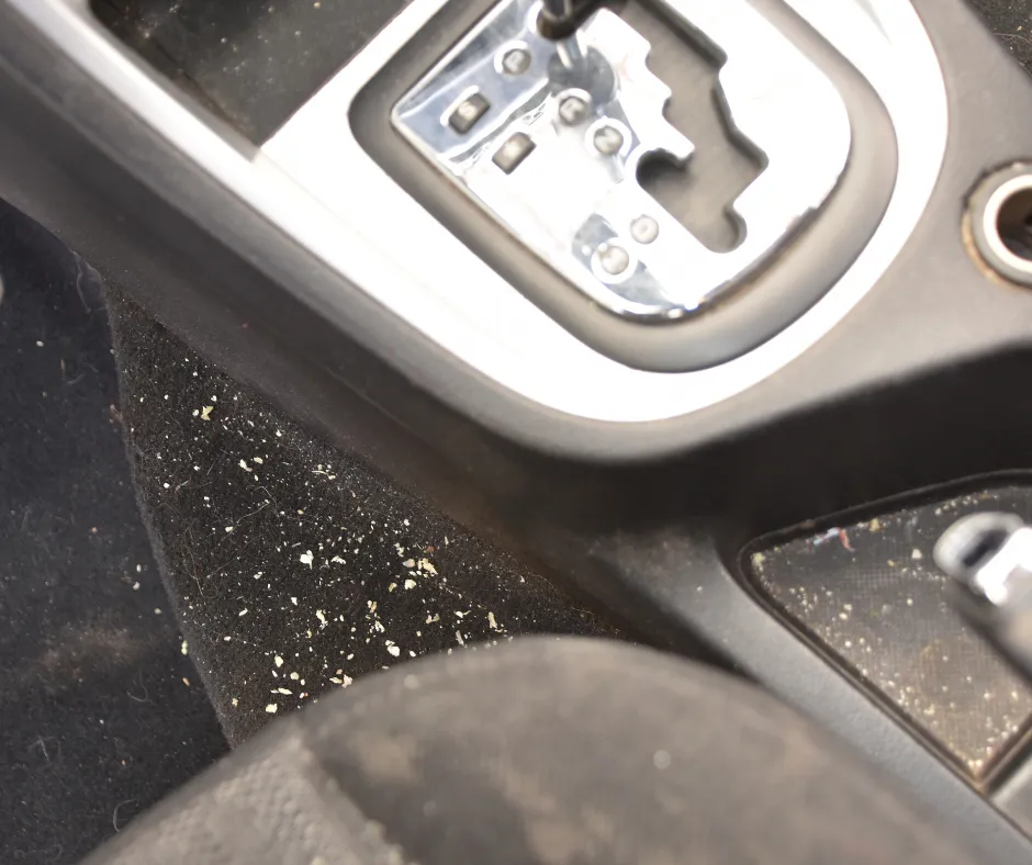 How To Maintain A Clean Car After A Car Wash- Regularly Remove Debris; Trash in Car Interior