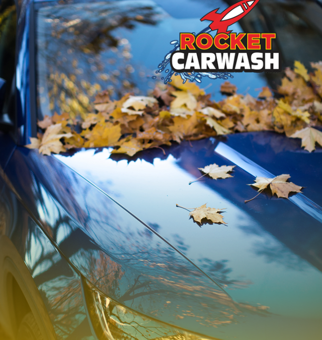 Can Fall Leaves Damage Your Car?