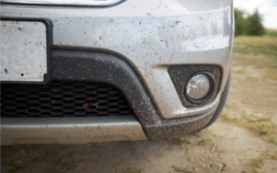 How To Clean and Protect Your Car From Bugs