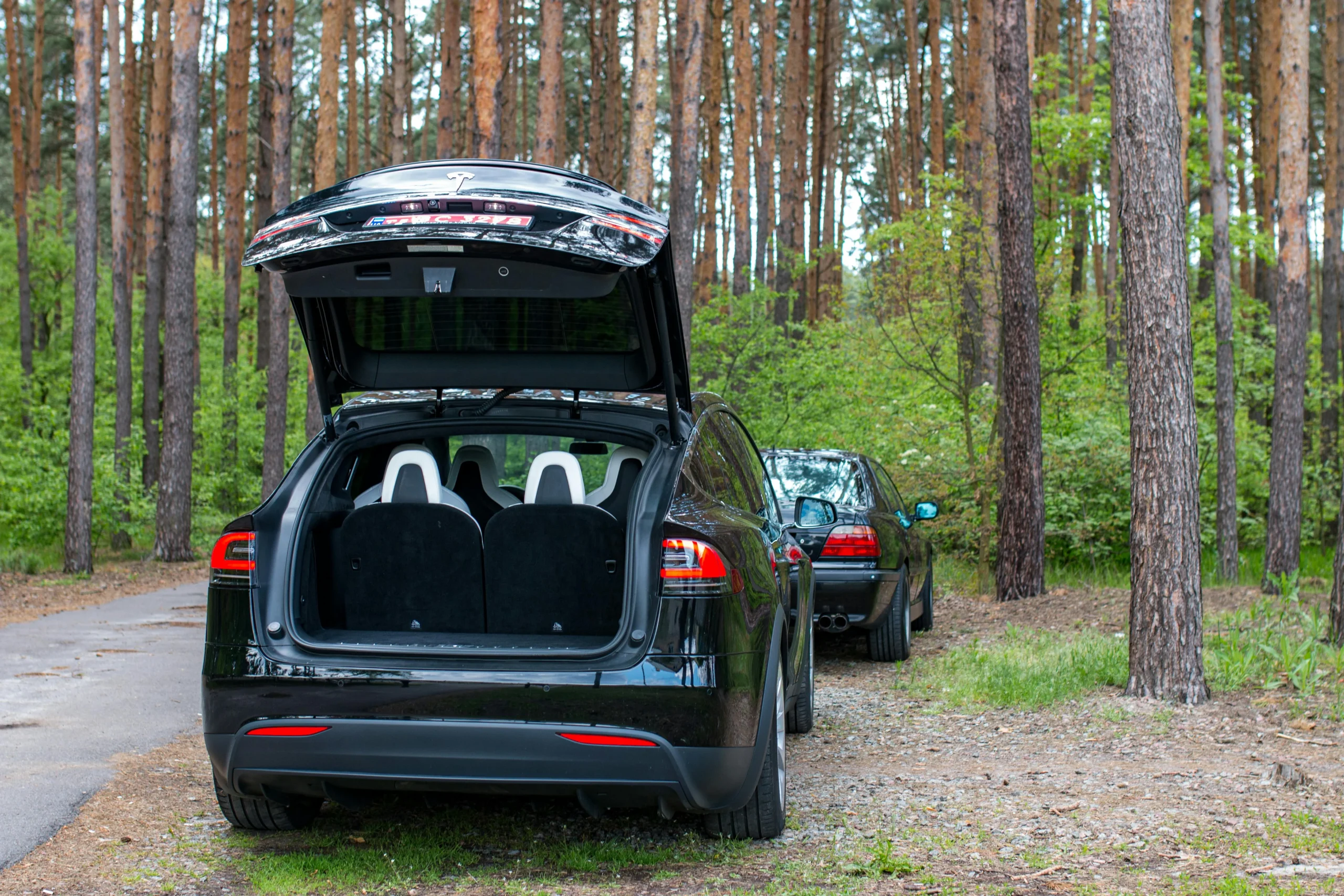 How To Clean Your Car Trunk Carpet