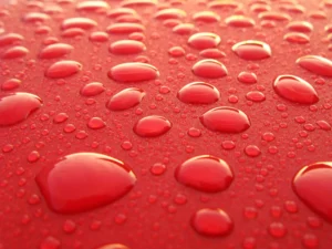 Does Rain Clean Your Car? - Water droplets on car hood