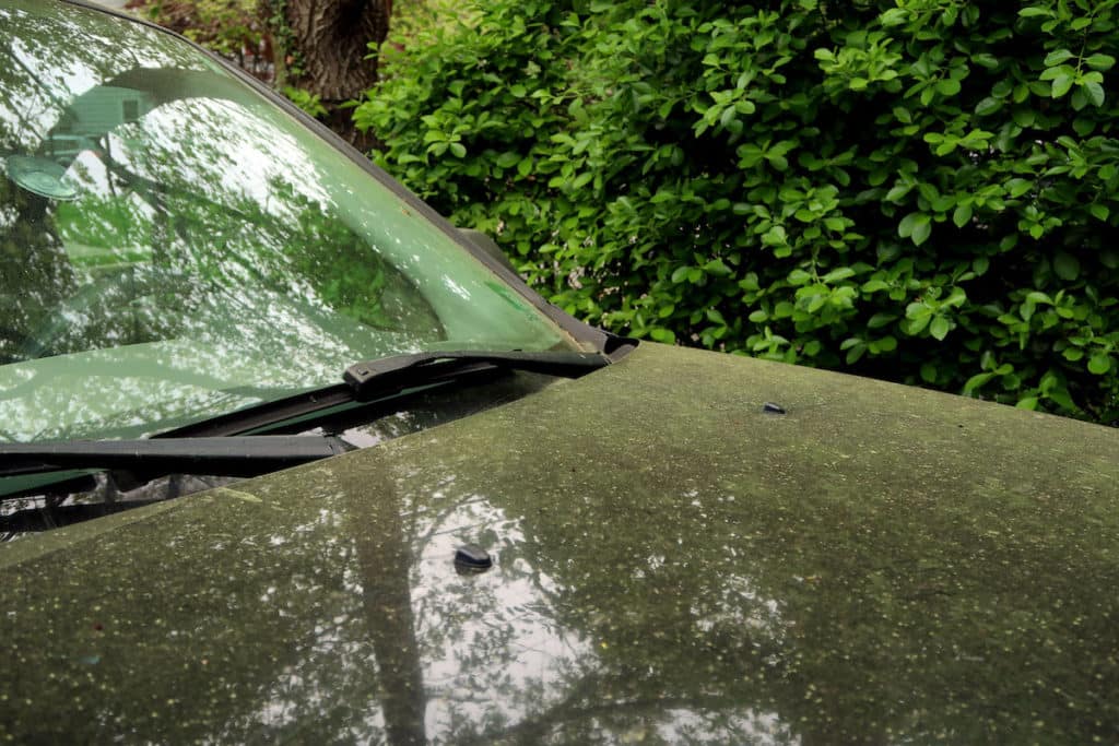 Reasons For Washing Your Car This Spring: Get Rid of Pollen 